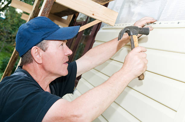 Best Siding Repair  in Laymantown, VA