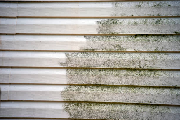 Best James Hardie Siding  in Laymantown, VA