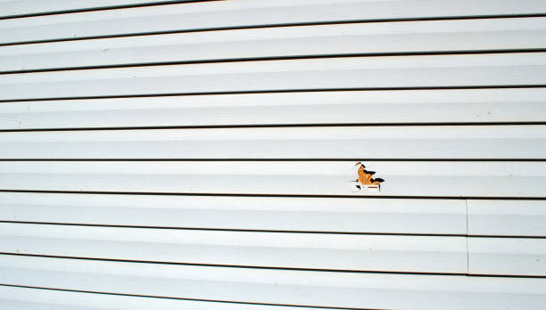 Affordable siding repair and maintenance services in Laymantown, VA
