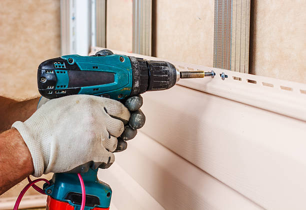Best Custom Trim and Detailing for Siding  in Laymantown, VA